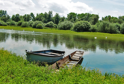 Rhein bei Plittersdorf